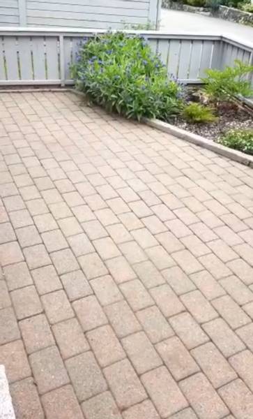 Hovedbilde Garvida Elektrisk Ugressfjerner 140W